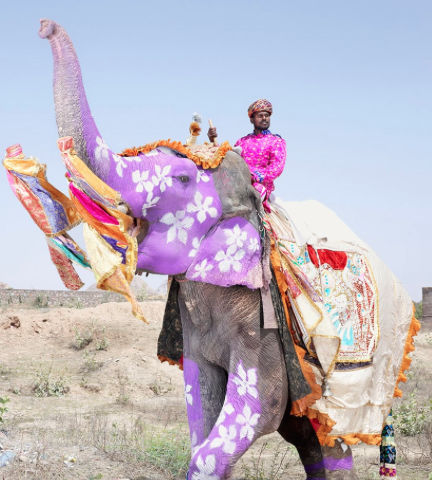 https://www.theguardian.com/artanddesign/gallery/2015/jul/31/the-extraordinary-painted-elephants-of-india-in-pictures